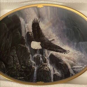 Majestic Eagle Wall Art with Gold Trim